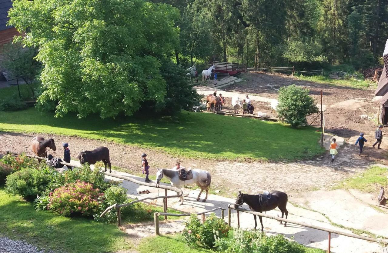 Górski Ośrodek Jeździecki Bukowina Tatrzańska Exterior foto